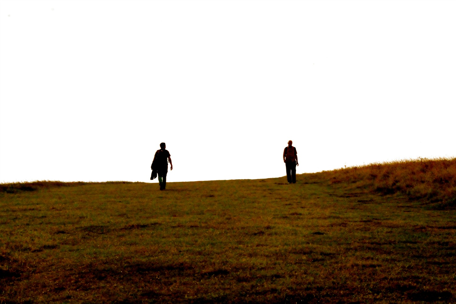 people walking in field