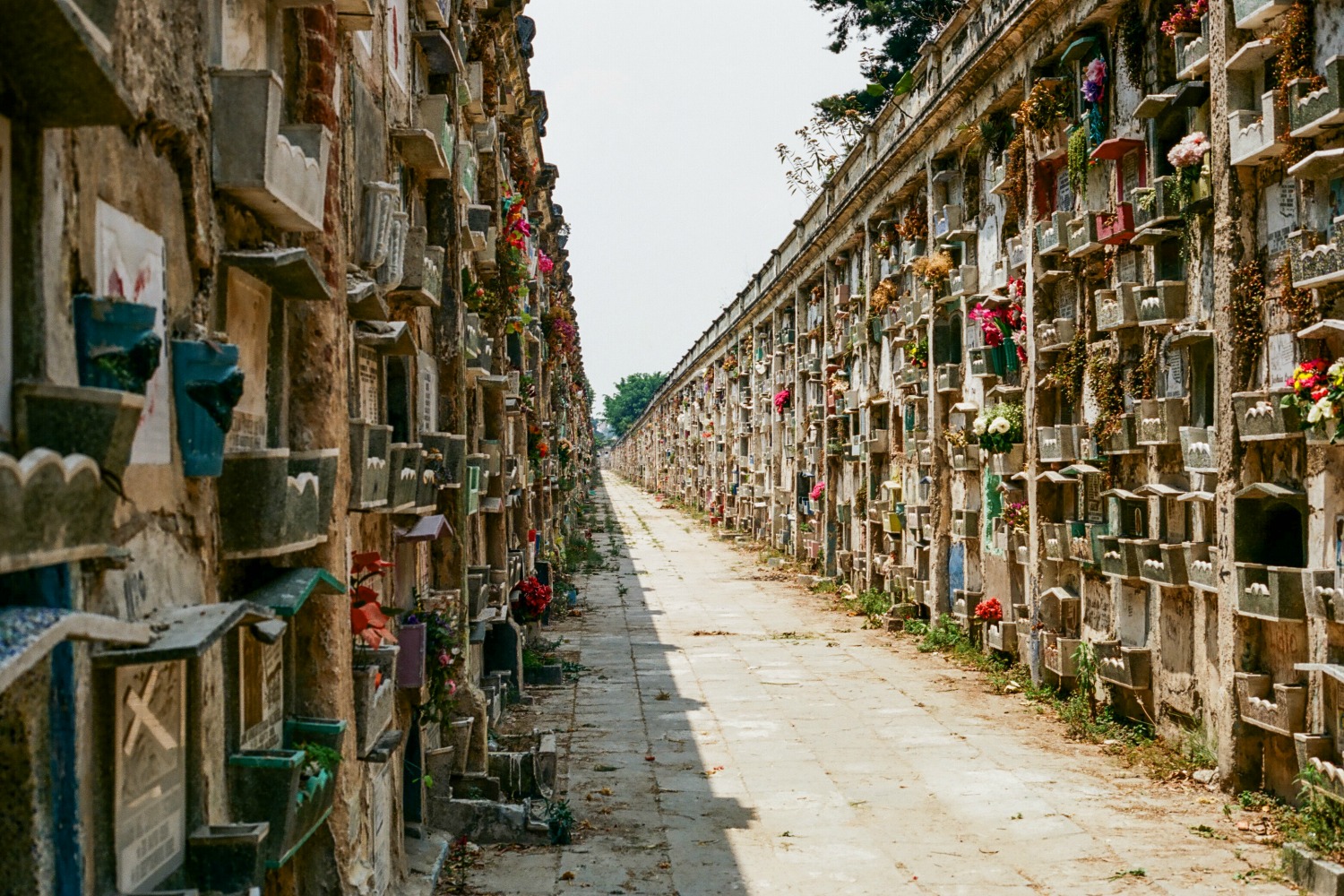 Guatemala cemetery
