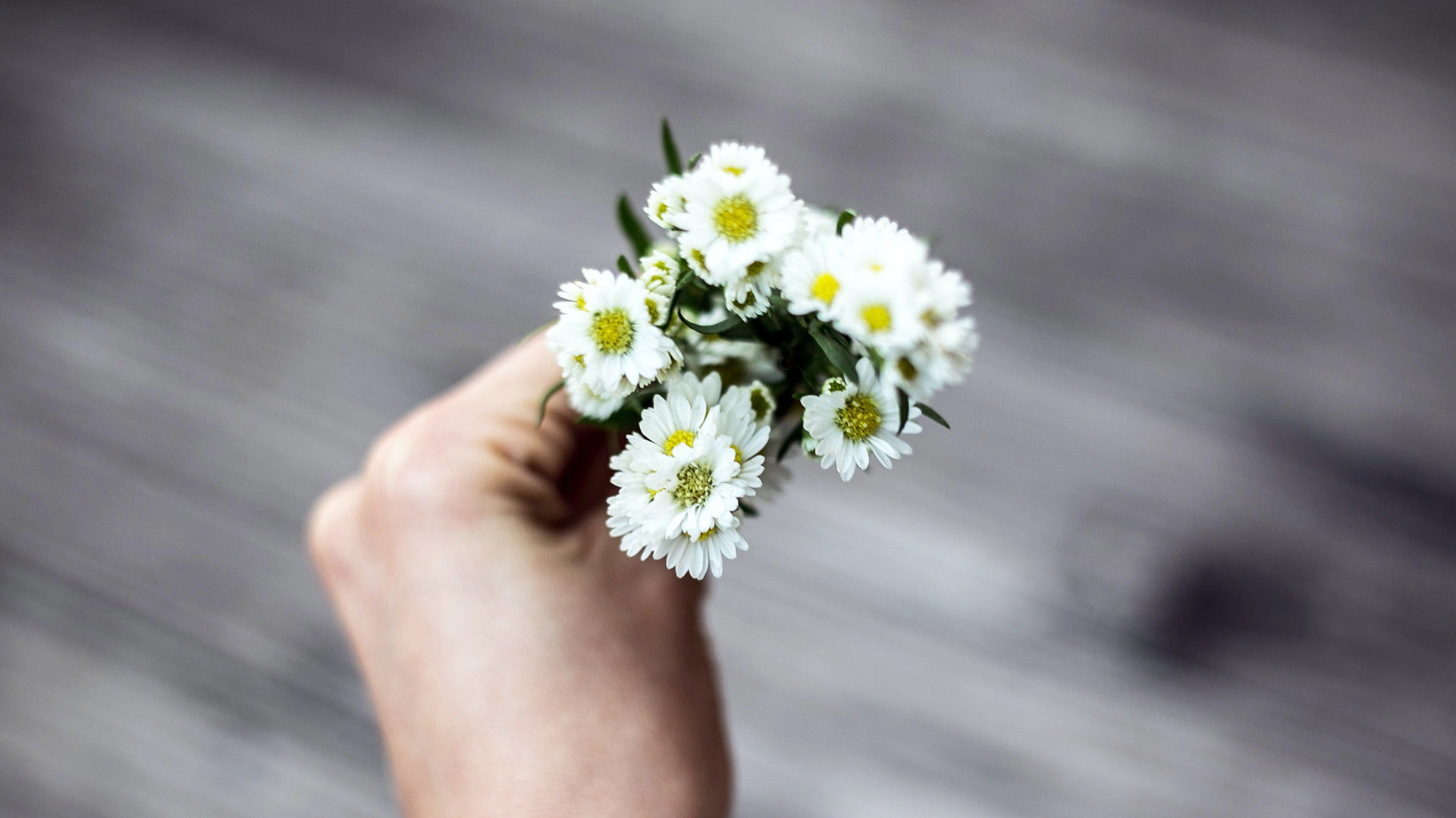 a hand holding a small bouquet of white flowers