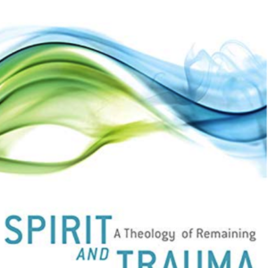 cover of spirit and trauma by shelly rambo
