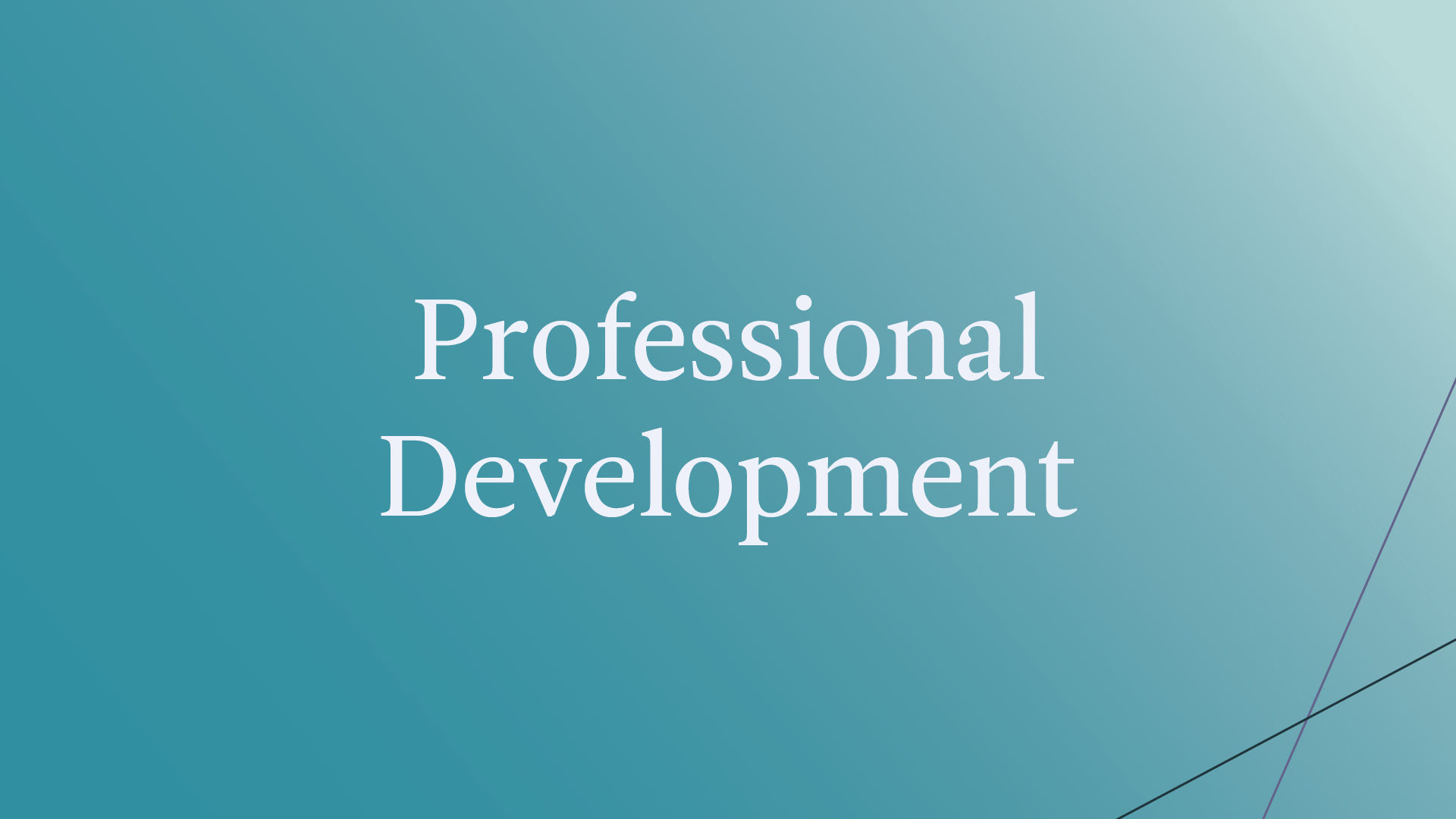 Professional Development at The Seattle School
